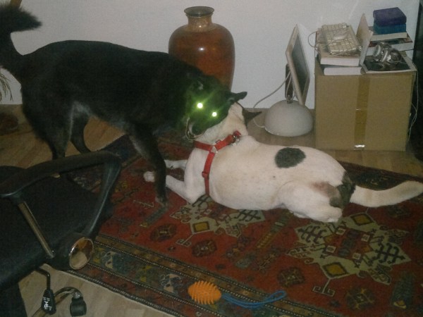 med_Abblenden bitte.jpg (600 x 450)